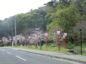 ２